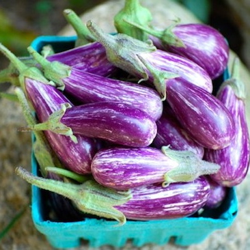 Susie-Middleton-veggies