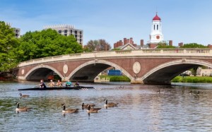 Tina-Tranfaglia-Harvard