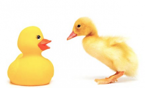 impostor-ducks