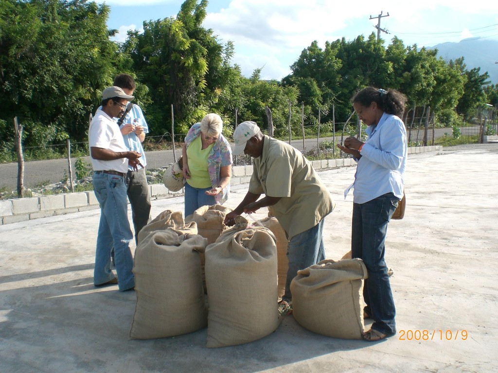 Me inspecting coffee in the D.R.