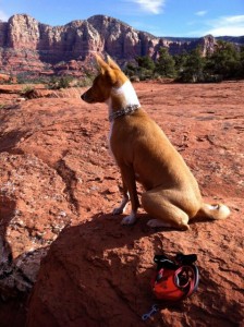 M'Penzi-onhikeSedona