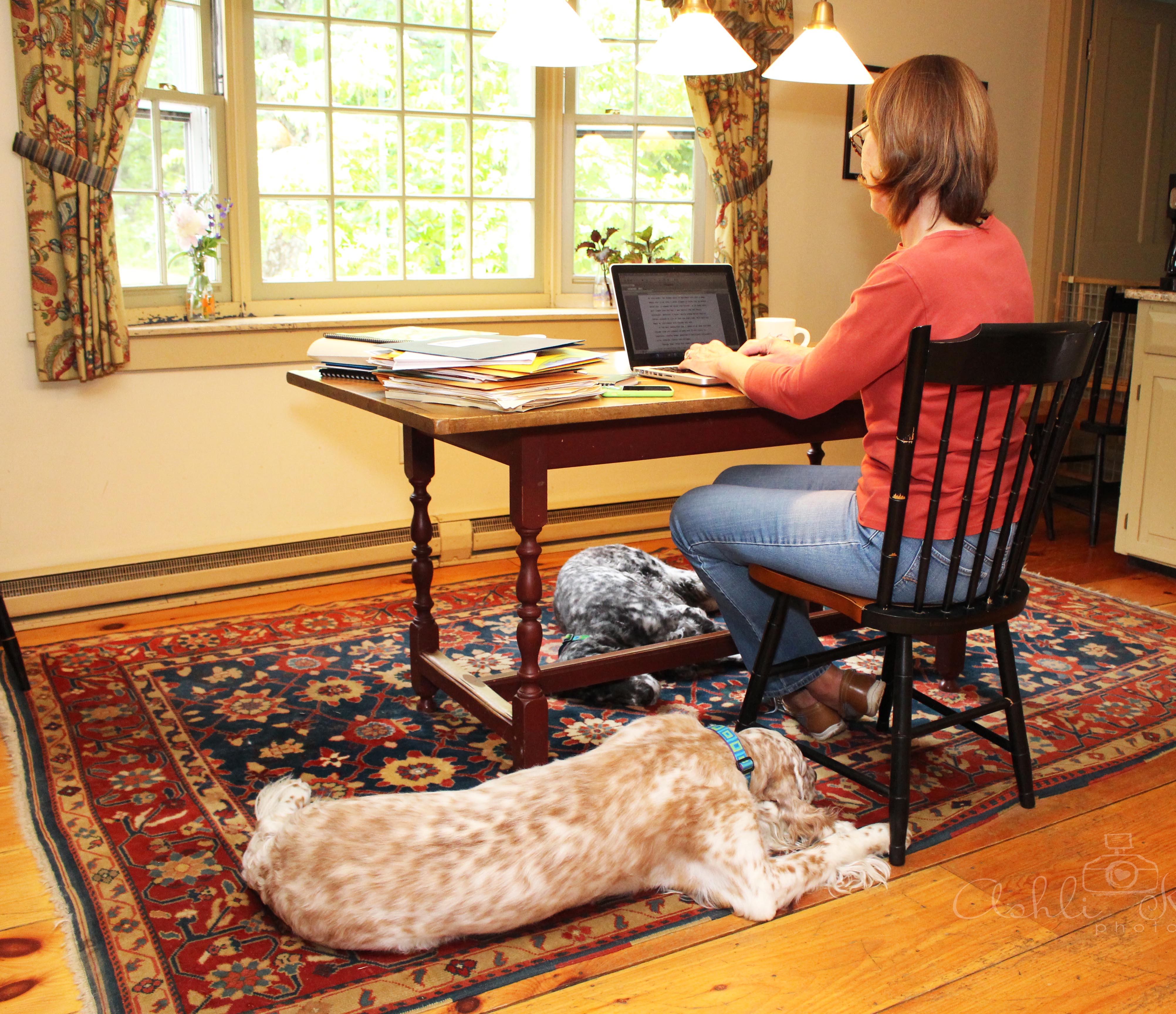 My desk: Nature out of my window and dogs at my feet -- the perfect work environment