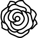 rose-2